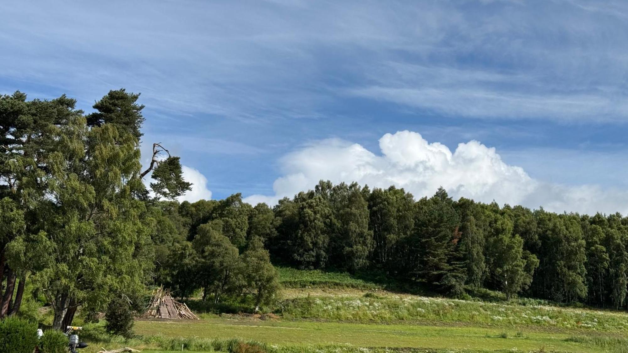 Wildcat Lodge Grantown On Spey Extérieur photo